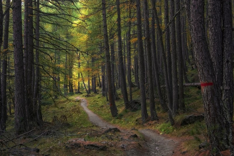 Offbeat Trails